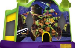 Teenage Mutant Ninja Turtle